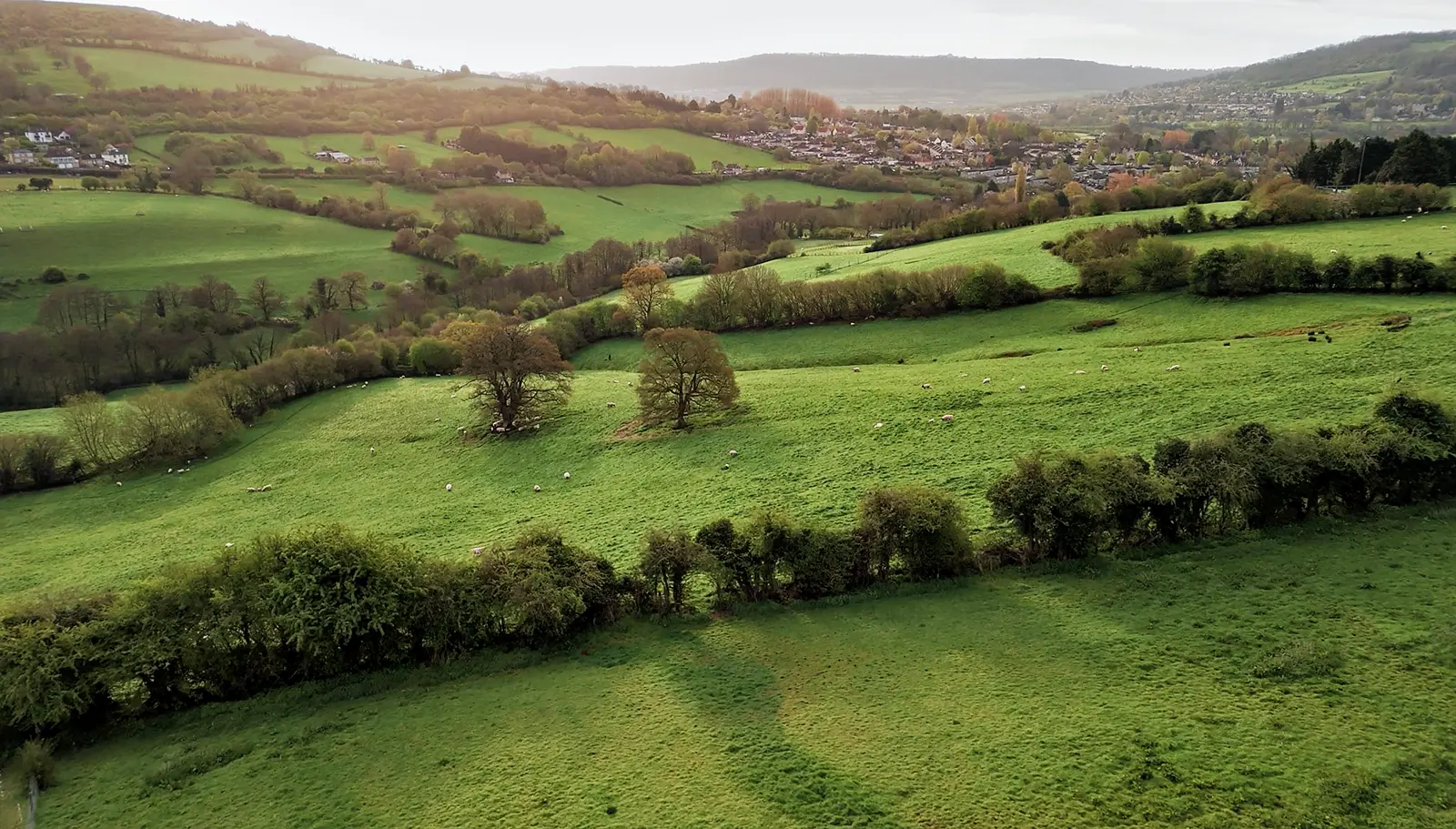 The Charlcombe valley from above, wooded hills, Well Bath tucked into the fold.